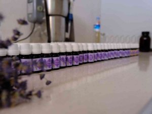 Kimyasal Madde Kullanmadan Uçucu Yağ Ürettiler