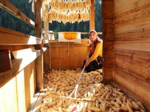 Artvin’in Köylerinde Kış Hazırlıkları Başladı