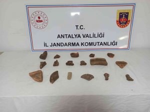 Jandarmadan Kaçak Kazı Operasyonu: 2 Gözaltı