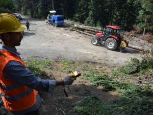 Orman Köylüsüne 890 Bin Lira Hibe