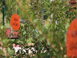 Kayapınarlı Çocuklara ’Ekolojik Ve Atıksız’ Yaşamın Örnekleri Anlatılıyor