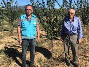 Simav’da Sertifikalı Ayva Bahçesinde 2022 Yılı Kontrolü