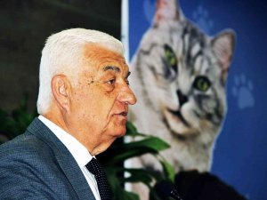 Başkan Gürün, “Sokak Hayvanlarını Azaltmamız Lazım”