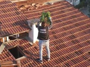 Samsun Valiliği’nden ’Kökünü Kurutma Operasyonu’ Açıklaması