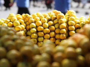 Kurak Bölgelerde Yetişiyor, Faydası Saymakla Bitmiyor