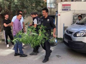 Pendik’te 25 Yaşındaki Genç, Kenevir Yetiştirilen Evde Ölü Bulundu