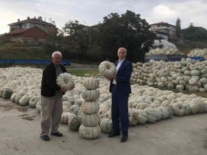 Bilecik’te Kışlık Kabakların Hasadı Yapıldı
