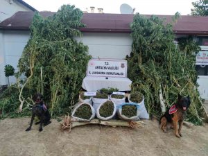 Baba-oğulun Uyuşturucu Üretimine Jandarmadan Operasyon