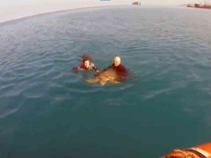 Sahil Güvenlikten Hayvanları Koruma Günü Hassasiyeti