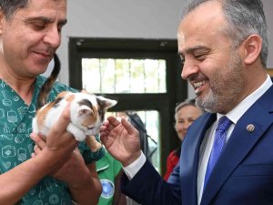 Başkan Aktaş, 4 Aylık Kediyi Sahiplendi