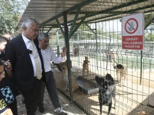 Karalar: "Kısırlaştırmayı Daha Da Artıracağız"