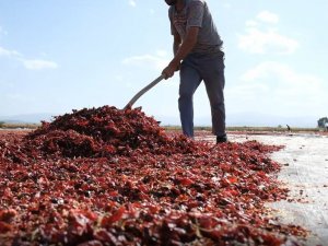 Bursa’nın Toz Biberi Dünya Mutfağında