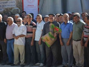 200 Çiftçiye 50 Ton Sertifikalı Buğday Tohumu Dağıtıldı