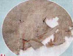 İşte o hasarlı HIRKA-I ŞERİF