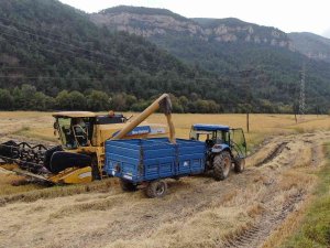 Çeltik Çiftçisi Ücret Artışından Memnun