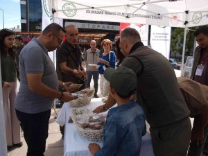 Menteşe’de Kedi Ve Köpeklere Mama Dağıtıldı