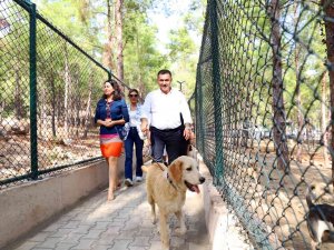 Alanya Belediyesi Köpek Bahçesi Ve Doğal Yaşam Alanı Açıldı