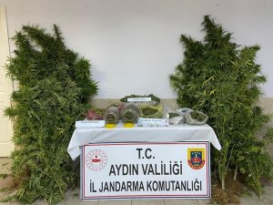 Aydın’da Uyuşturucu İle Mücadelede Bir Haftada 2 Kişi Tutuklandı