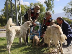 Erzincan’da Sokak Hayvanlarına Yönelik Yemleme Çalışması Yapıldı