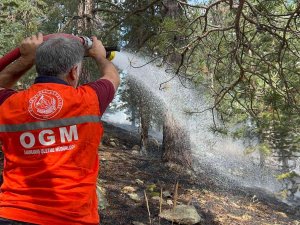 Sarıkamış’ta Ormanlık Alanda Çıkan Örtü Yangını Söndürüldü