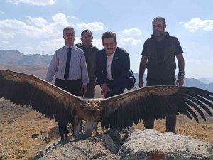 Hayvanları Koruma Günü’nde Özgülüğe Kanat Çırptı