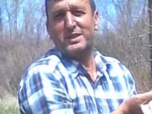 İ̇ş Adamı, Arı Sokması Sonucu Vefat Etti