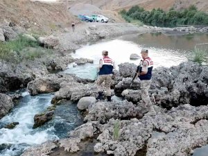 Siirt’te Jandarma Kaçak Avcılara Göz Açtırmıyor