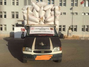 Kahramanmaraş’ta Saman Çalan Şüpheliler Yakalandı