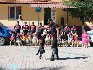 Jandarmadan Hayvanları Koruna Günü Etkinliği