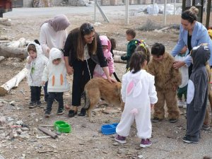 Beslenme Noktalarındaki Hayvanlara Mama Bıraktılar