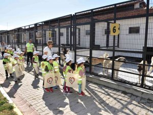 Balıkesir’de Mamamatikler Devreye Alınacak