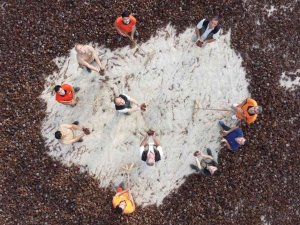 Yanan Ormanlar 450 Milyon Adet Tohumla Tekrar Yeşerecek