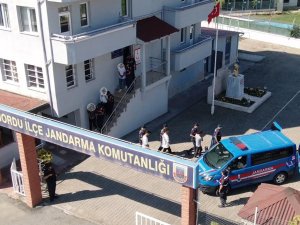 Ordu’da Fındık Ve Telefon Kablosu Hırsızları Yakalandı