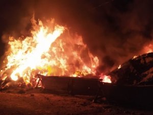 Tercan’da 2 Bin 700 Bağ Ot Yandı