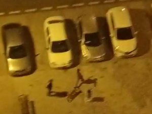 Köpeği Çocukların Üstüne Saldı, Korkan Çocuk Otomobilin Üstüne Çıktı