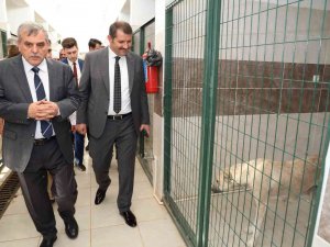 Siverek Hayvan Rehabilitasyon Merkezinde İnceleme