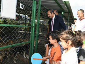 Başkan Çetin’den Hayvan Ambulansı Müjdesi