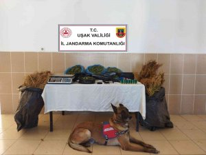 Eşme’de 7 Kilo Esrar Ele Geçirildi