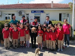 Salihli’de Sokak Hayvanları Unutulmadı