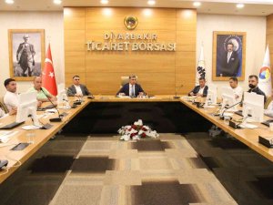 Dtb Başkanı Yeşil: “Pamuk Üreticileri Acil Desteklenmeli”