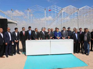 Bozkır Topraklarına 50 Milyon Dolarlık ’Domates’ Serası