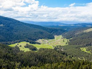 Sivas’ta Orman Oranı Yüzde 8’den Yüzde 18’e Çıktı