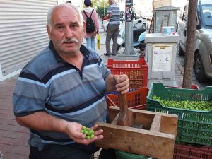 Balıkesir’de Kırma Zeytin Yapımına Başlandı