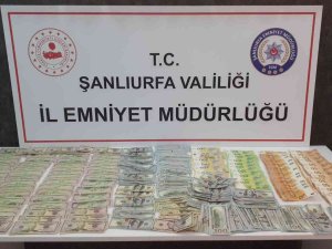 Yüklü Miktarda Dövizle Yakalanan Şahısların Dolandırıcı Olduğu Ortaya Çıktı