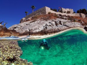 Kuşadası Belediyesi Deniz Canlıları Tanıtım Merkezi Kuruyor