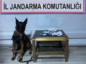 Tunceli’de Uyuşturucu Operasyonu