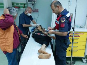 Fındık Bahçesinde Uçurumdan Yuvarlandılar: 2 Yaralı