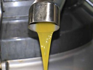 Bu Sene Bereket Yılı, Dünya Talep Ediyor