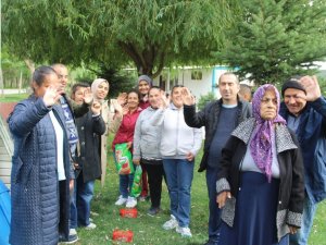 Sokak Hayvanlarına Önce Mama Bıraktılar Sonra Sevdiler