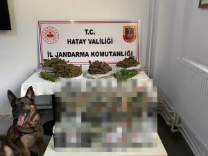 Hatay’da Derin Dondurucudan Uyuşturucu Çıktı